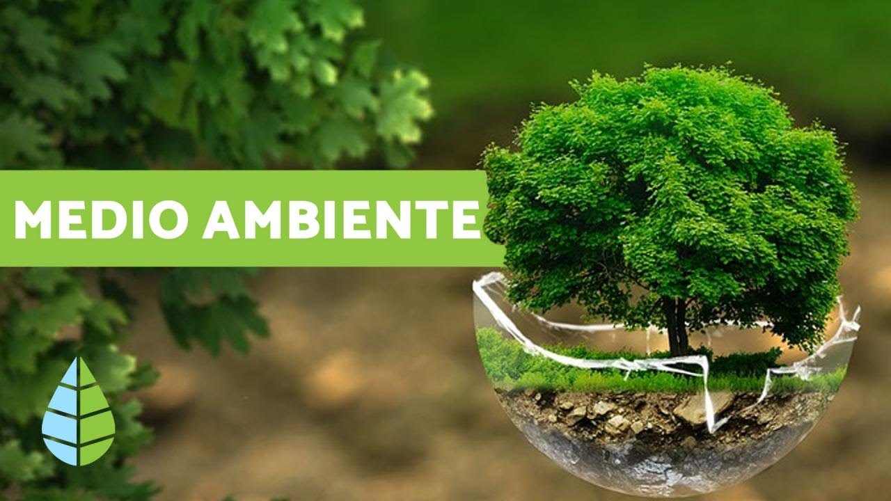 PPE - MEDIO AMBIENTE 